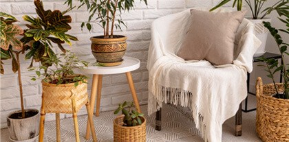 Ριχτάρια Πολυθρόνας | Γαρύφαλλο - λευκά Είδη